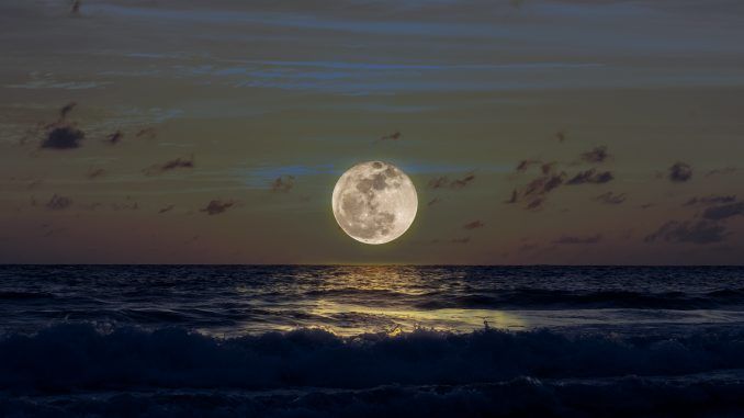 La especie humana posiblemente no existiría sin la Luna