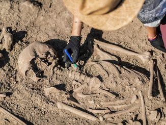 ¿Ellas al cuidado y ellos a cazar? La arqueogenética prueba que no siempre fue así