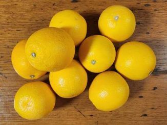 Tipos de naranjas que igual desconoces